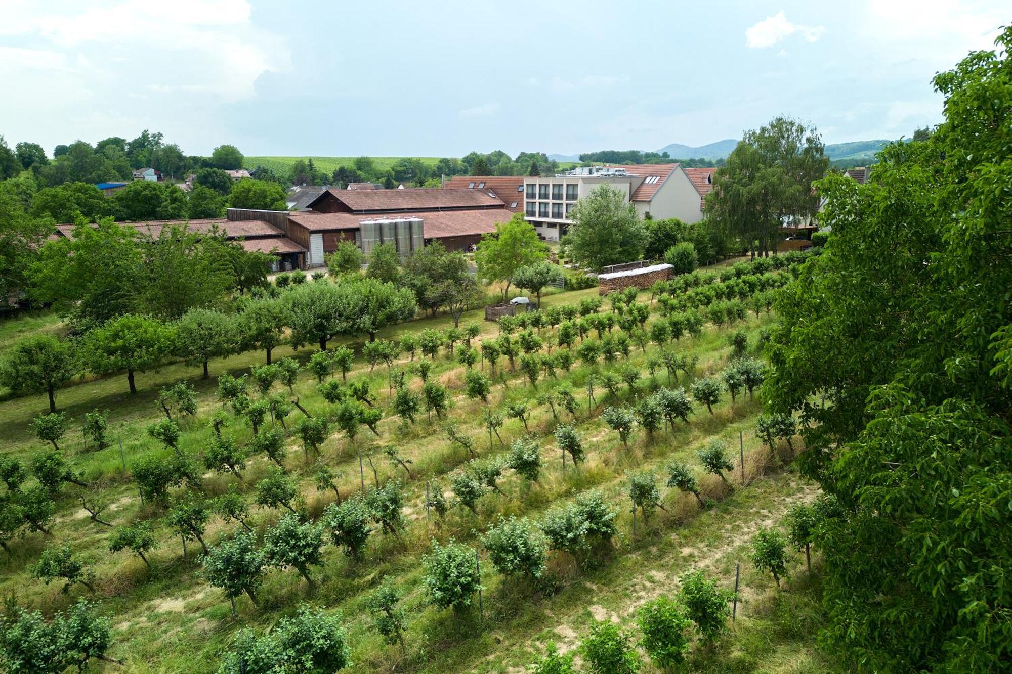 Weinhotel Fritz Walter Niederhorbach Exterior photo